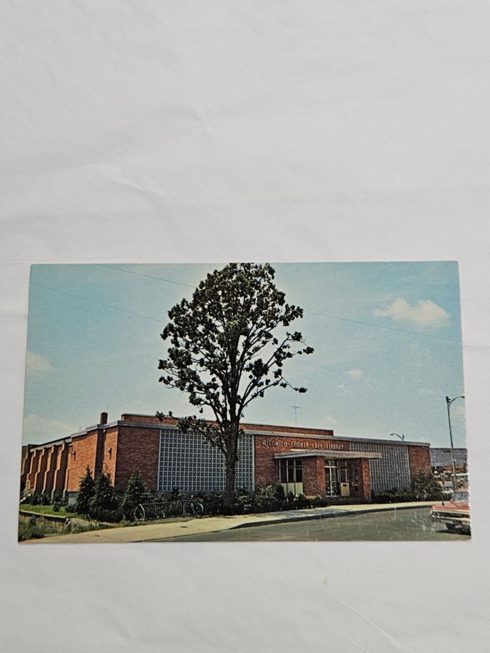 Wicomico County Free Library Salisbury Maryland Postcard